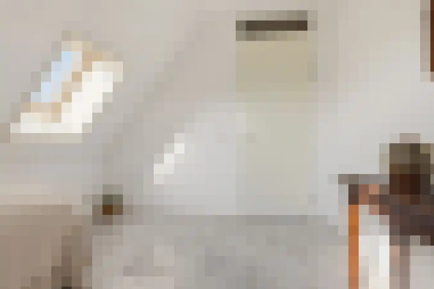 Dorpsstraat 73 Assendelft thumbnail 27