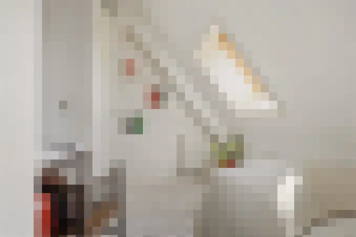 Dorpsstraat 73 Assendelft thumbnail 29