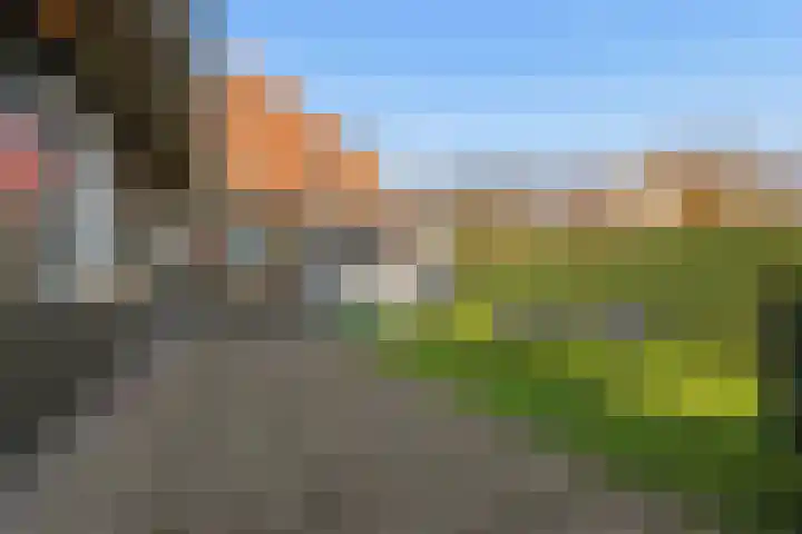 Dorpsstraat 73 Assendelft thumbnail 31