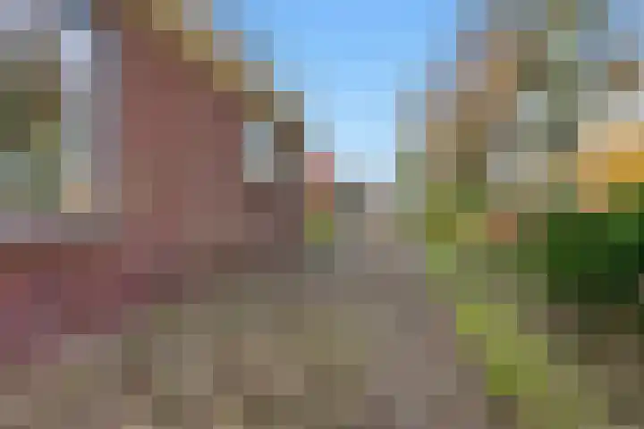 Dorpsstraat 73 Assendelft thumbnail 39