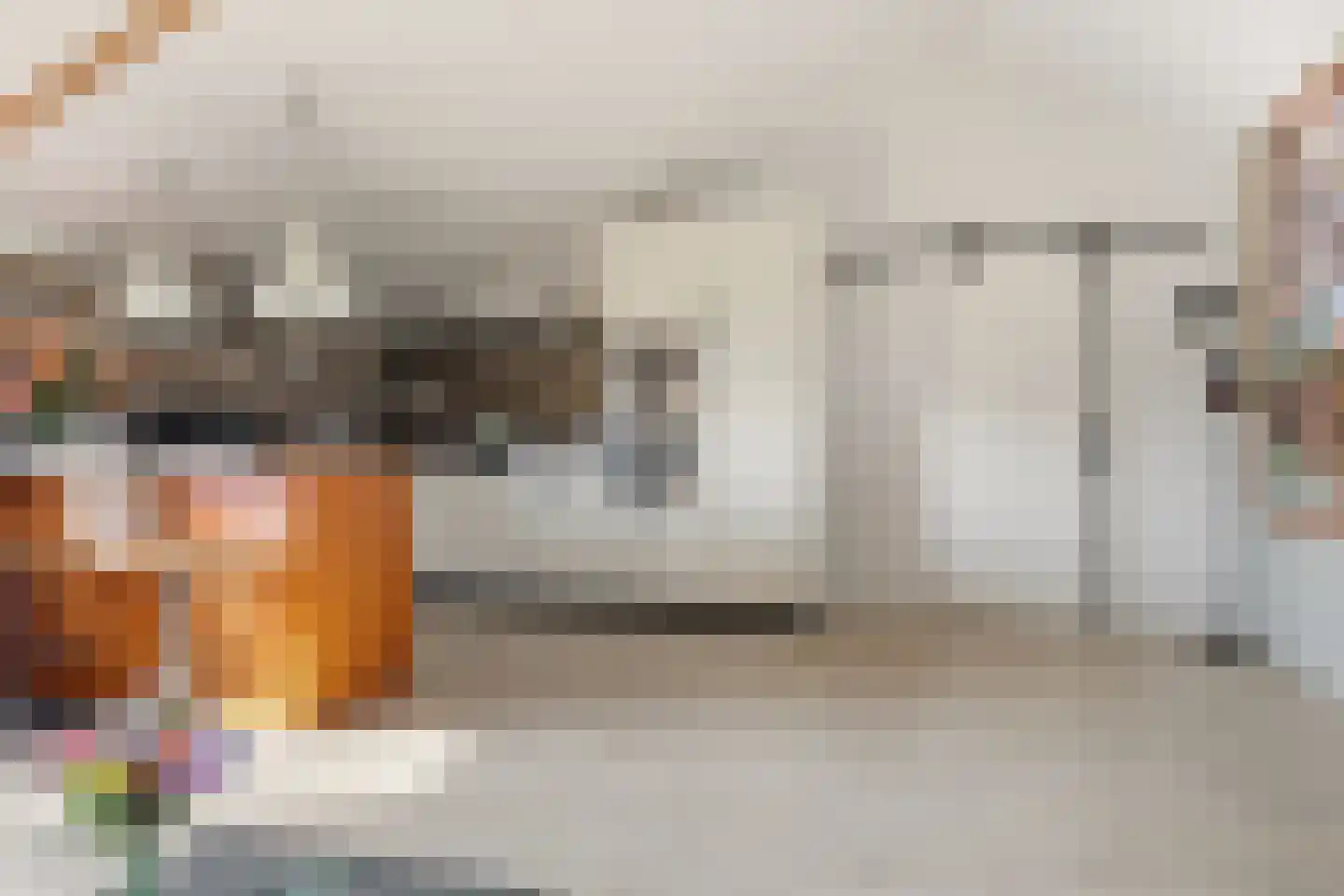 Dorpsstraat 73 Assendelft thumbnail 44