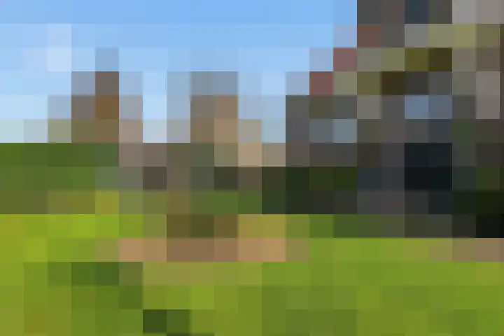 Dorpsstraat 73 Assendelft thumbnail 55