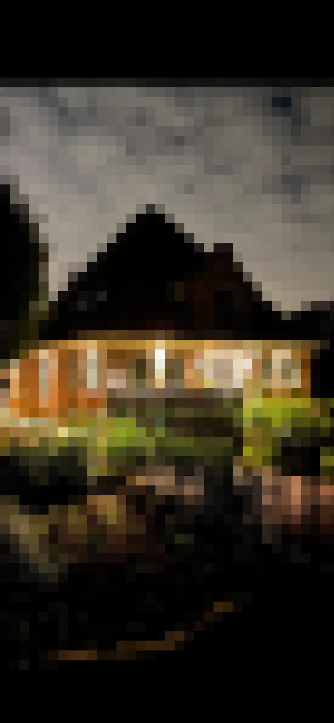 Dorpsstraat 73 Assendelft thumbnail 60