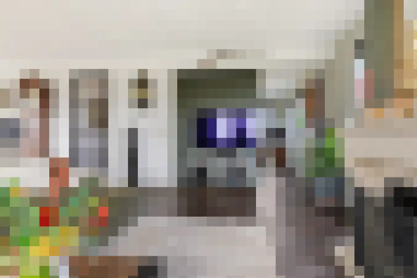 Dorpsstraat 73 Assendelft thumbnail 7
