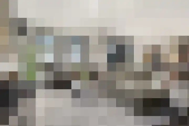 Dorpsstraat 73 Assendelft thumbnail 8