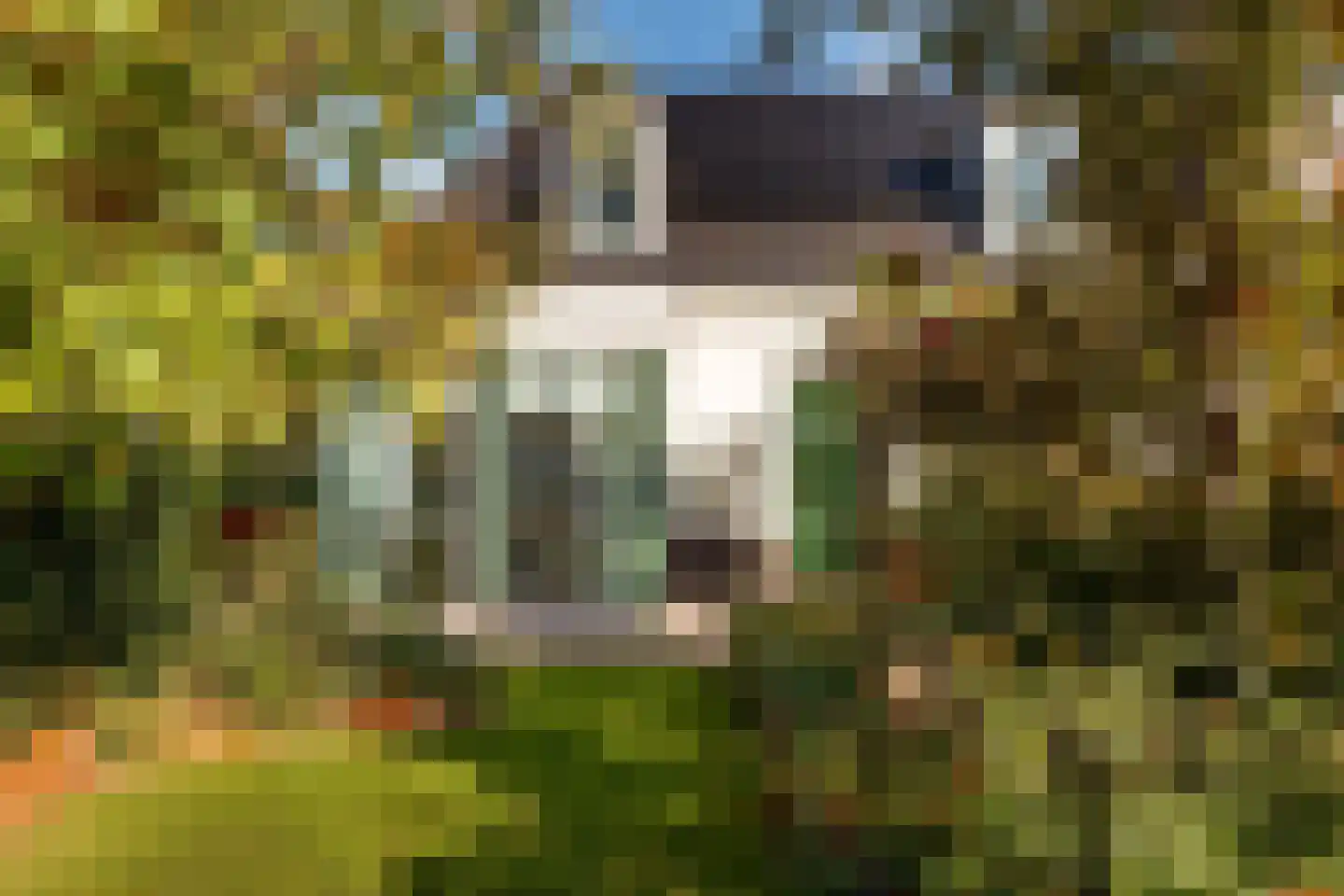 Dorpsstraat 73 b Doorn thumbnail 42