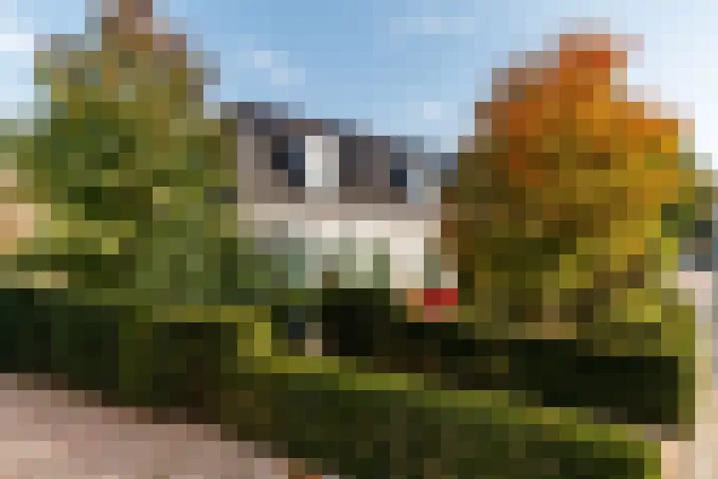 Dorpsstraat 73 b Doorn thumbnail 6