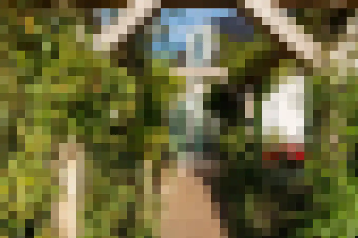 Dorpsstraat 73 b Doorn thumbnail 8
