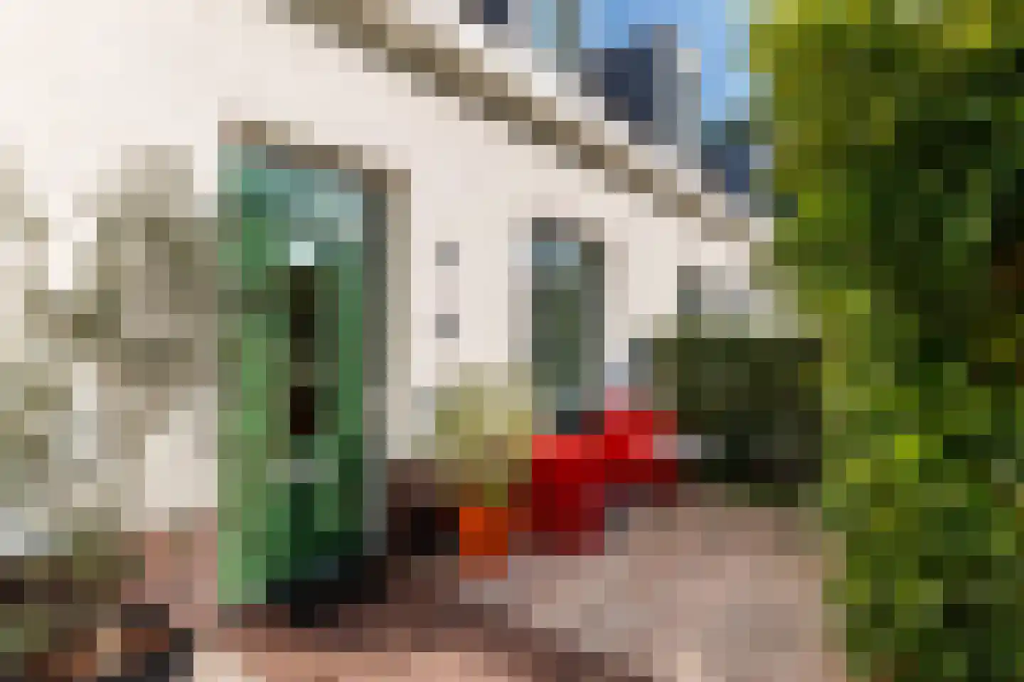 Dorpsstraat 73 b Doorn thumbnail 9