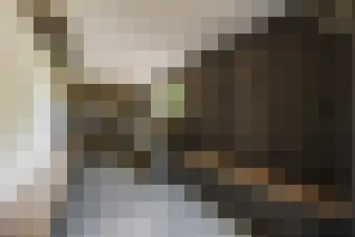 Dorpsstraat 73 Dussen thumbnail 51