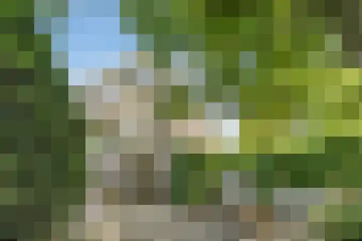 Dorpsstraat 73 Dussen thumbnail 55