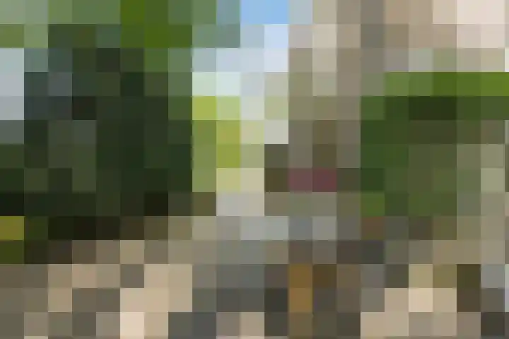 Dorpsstraat 73 Dussen thumbnail 56