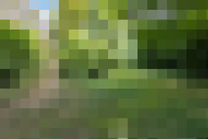 Dorpsstraat 73 Dussen thumbnail 57