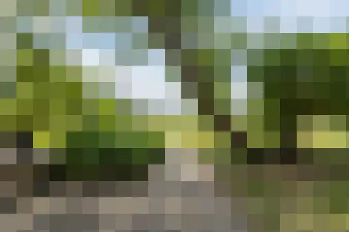Dorpsstraat 73 Dussen thumbnail 58