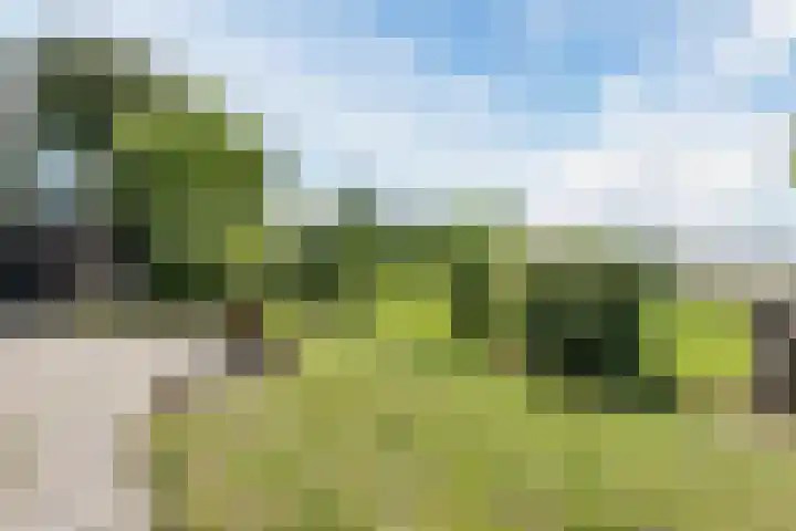 Dorpsstraat 73 Dussen thumbnail 59