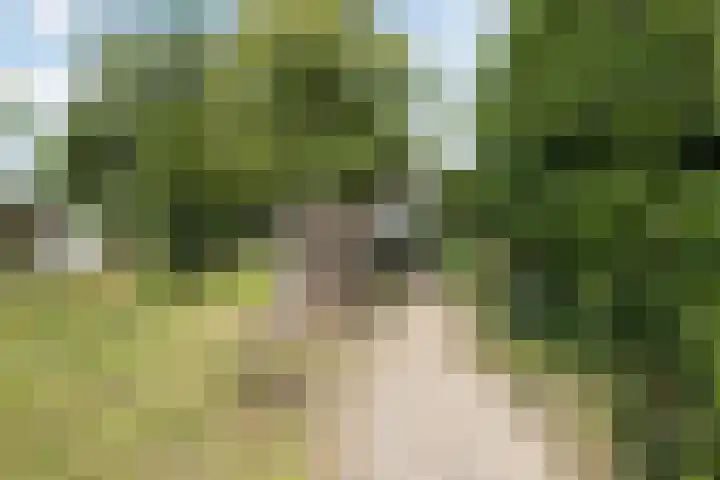 Dorpsstraat 73 Dussen thumbnail 60