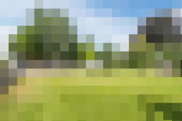 Dorpsstraat 73 Dussen thumbnail 63