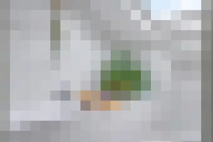 Dorpsstraat 73 Oosterhout thumbnail 47