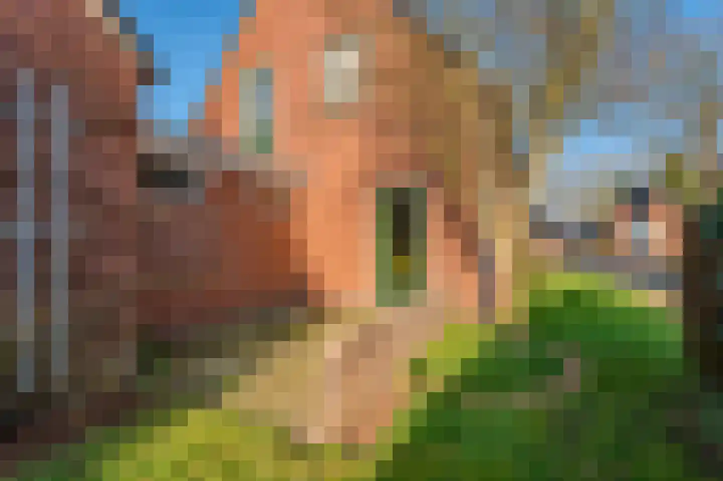 Dorpsstraat 73 Sellingen thumbnail 11