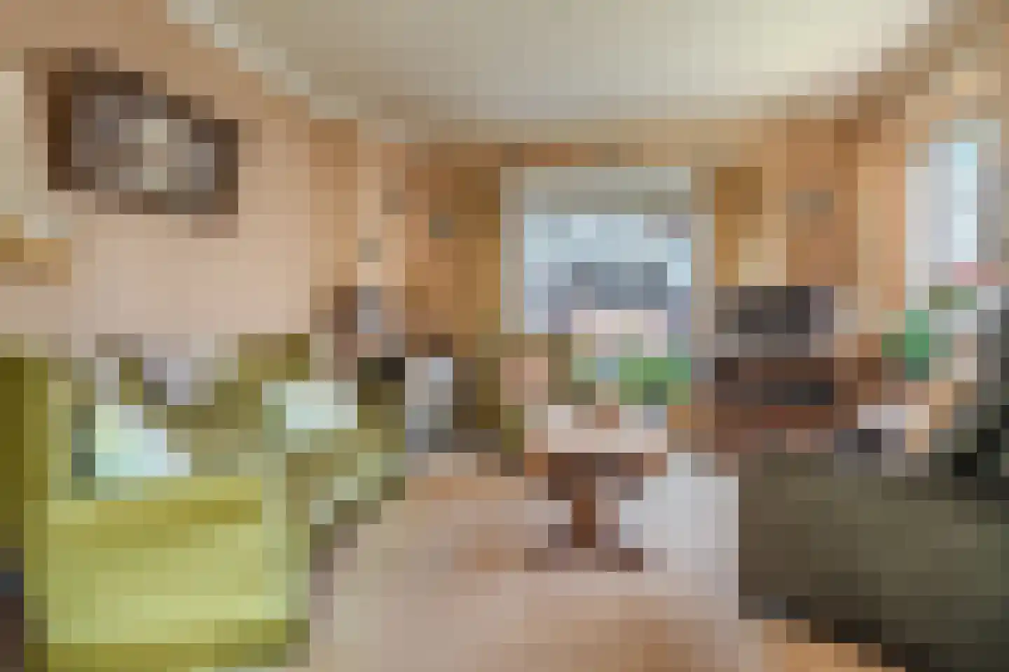 Dorpsstraat 73 Sellingen thumbnail 13