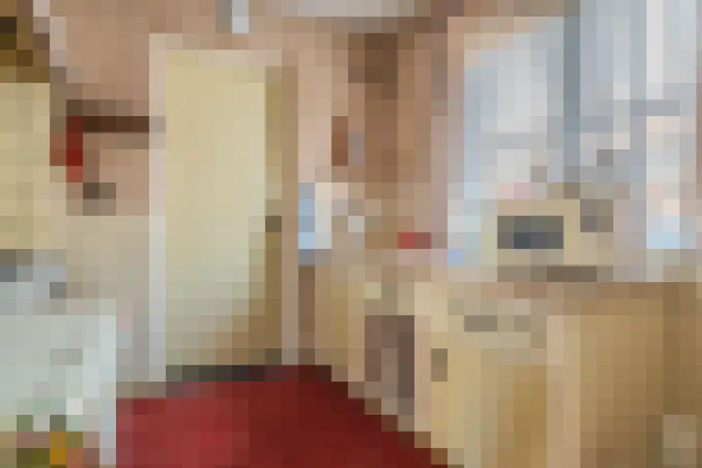 Dorpsstraat 73 Sellingen thumbnail 20