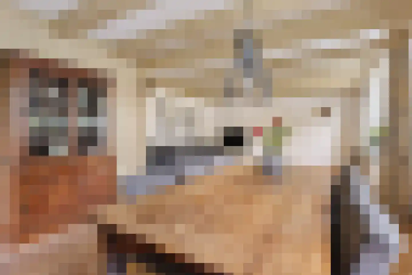 Dorpsstraat 73 Zwaag thumbnail 10
