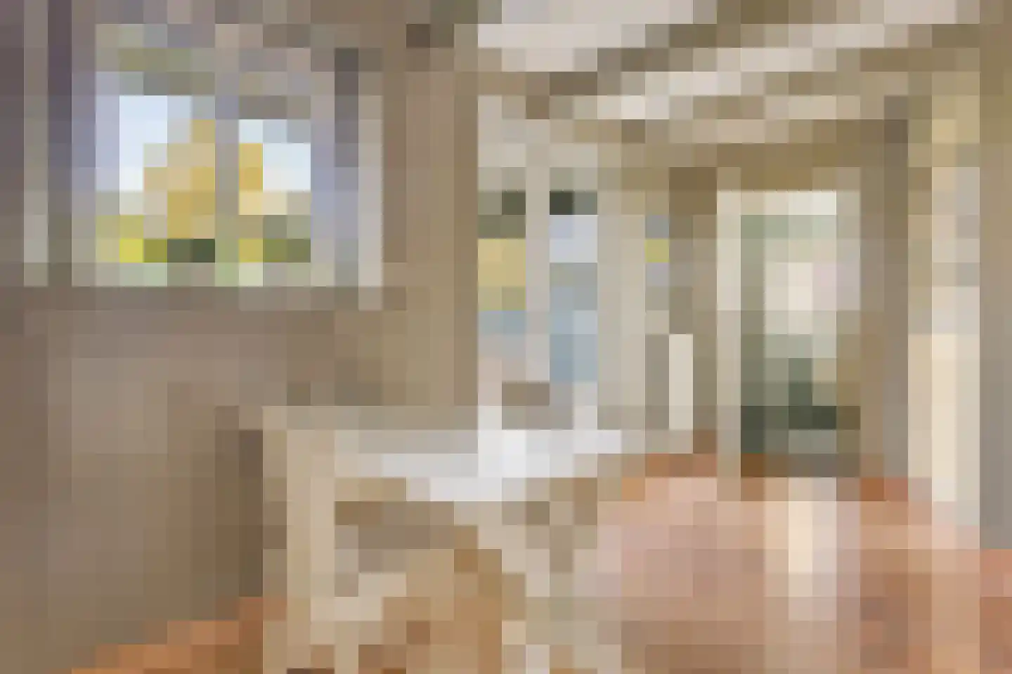 Dorpsstraat 73 Zwaag thumbnail 13