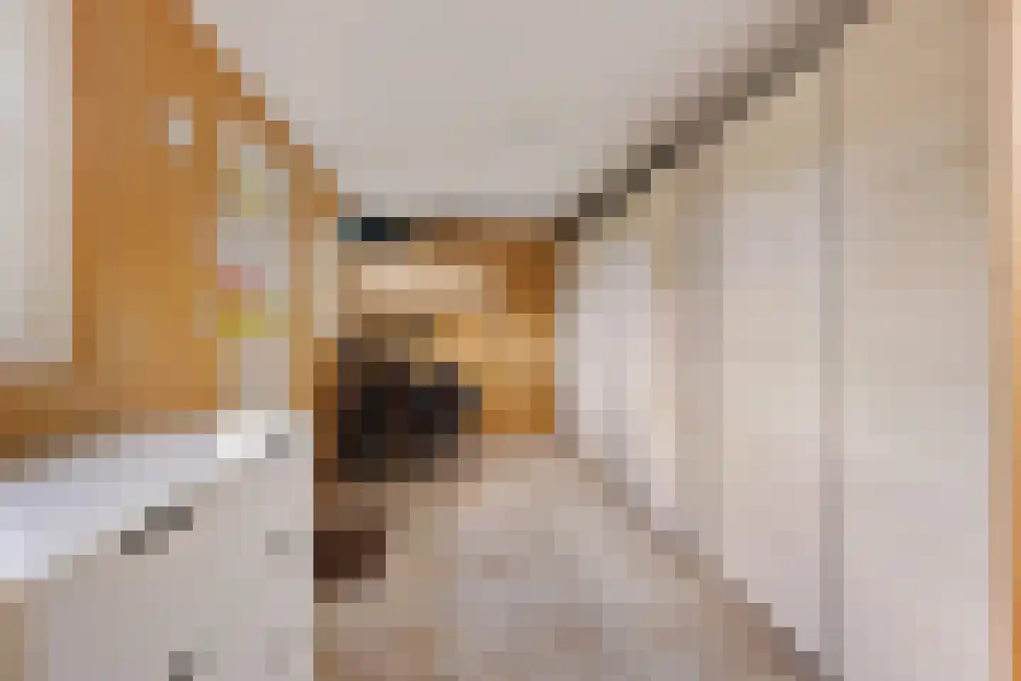 Dorpsstraat 73 Zwaag thumbnail 15