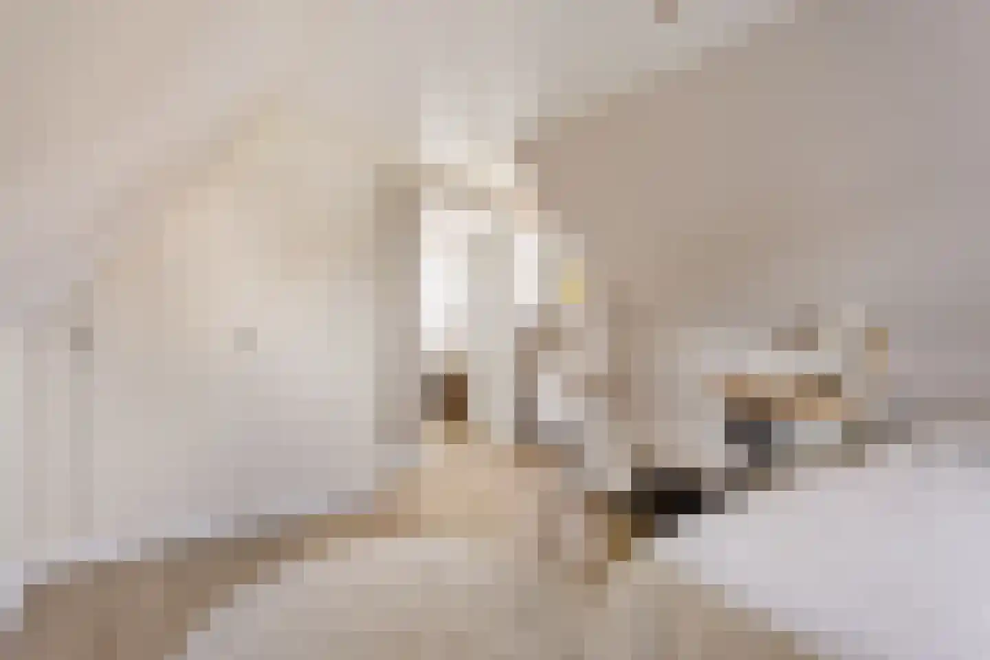 Dorpsstraat 73 Zwaag thumbnail 23