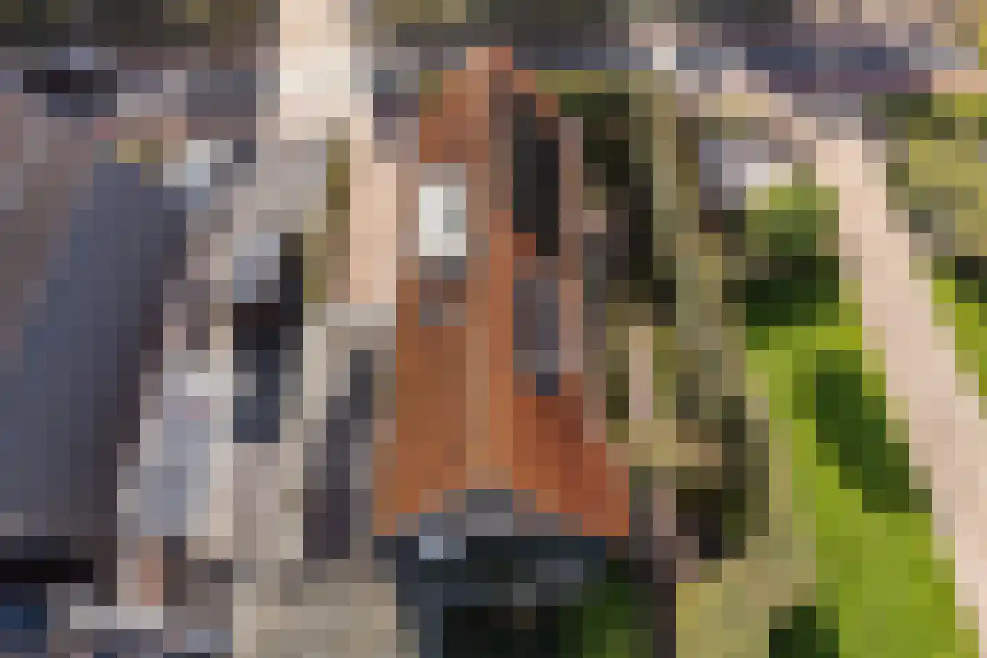Dorpsstraat 73 Zwaag thumbnail 41