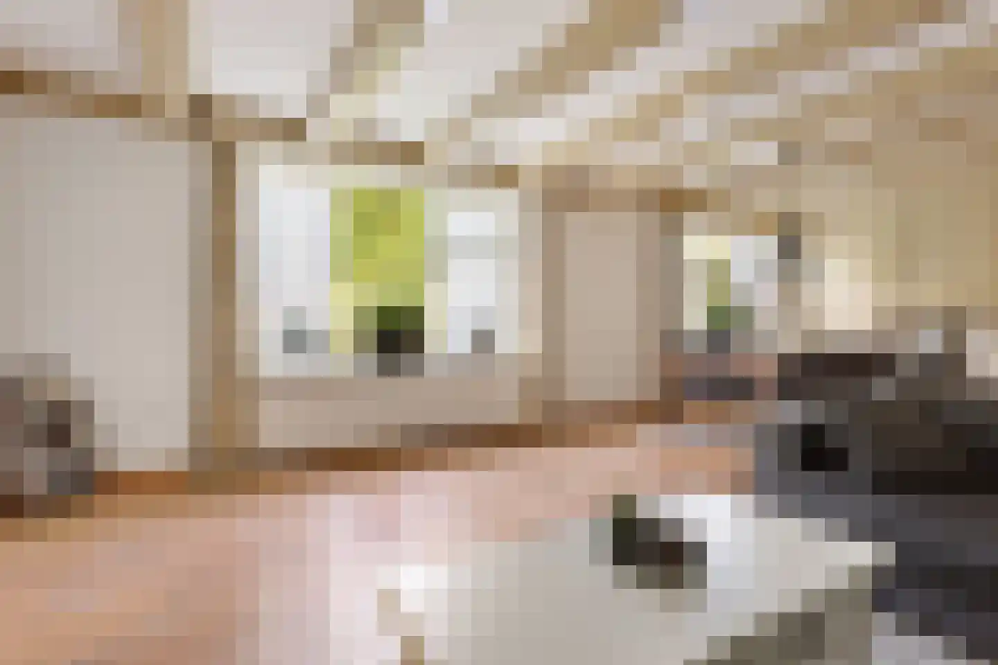 Dorpsstraat 73 Zwaag thumbnail 9