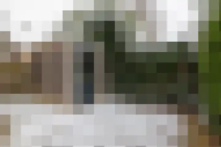Dorpsstraat 74 a Rheden thumbnail 21