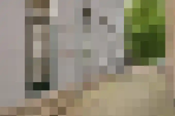 Dorpsstraat 75 A Broek op Langedijk thumbnail 5