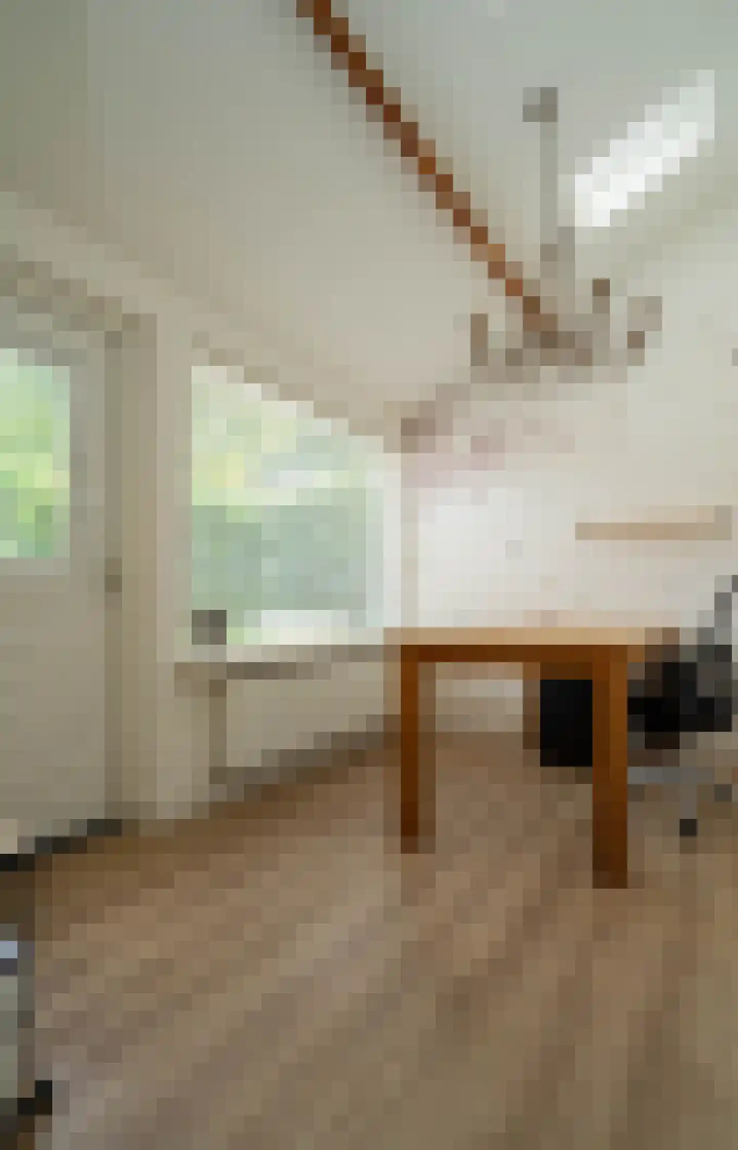 Dorpsstraat 75 Bakel thumbnail 29