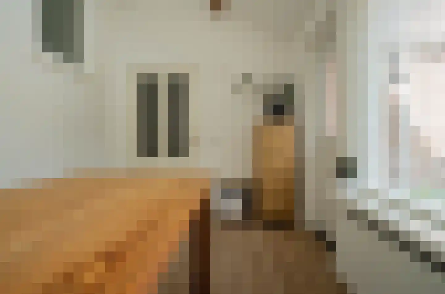 Dorpsstraat 75 Bakel thumbnail 30