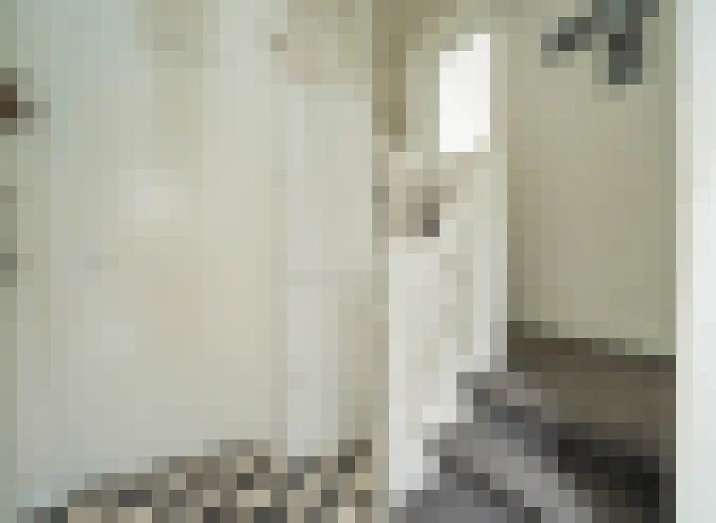 Dorpsstraat 75 Bakel thumbnail 31