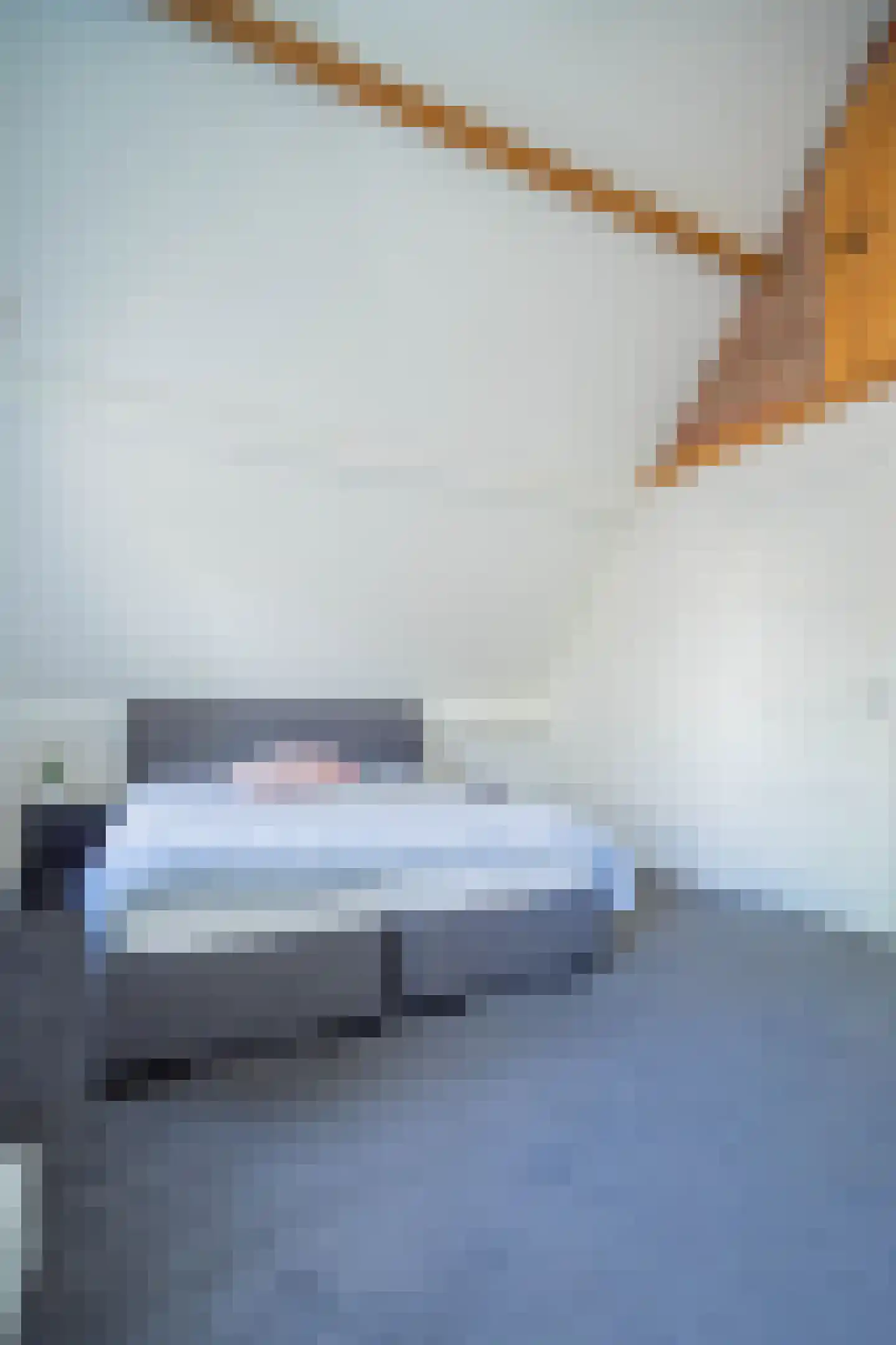 Dorpsstraat 75 Bakel thumbnail 36