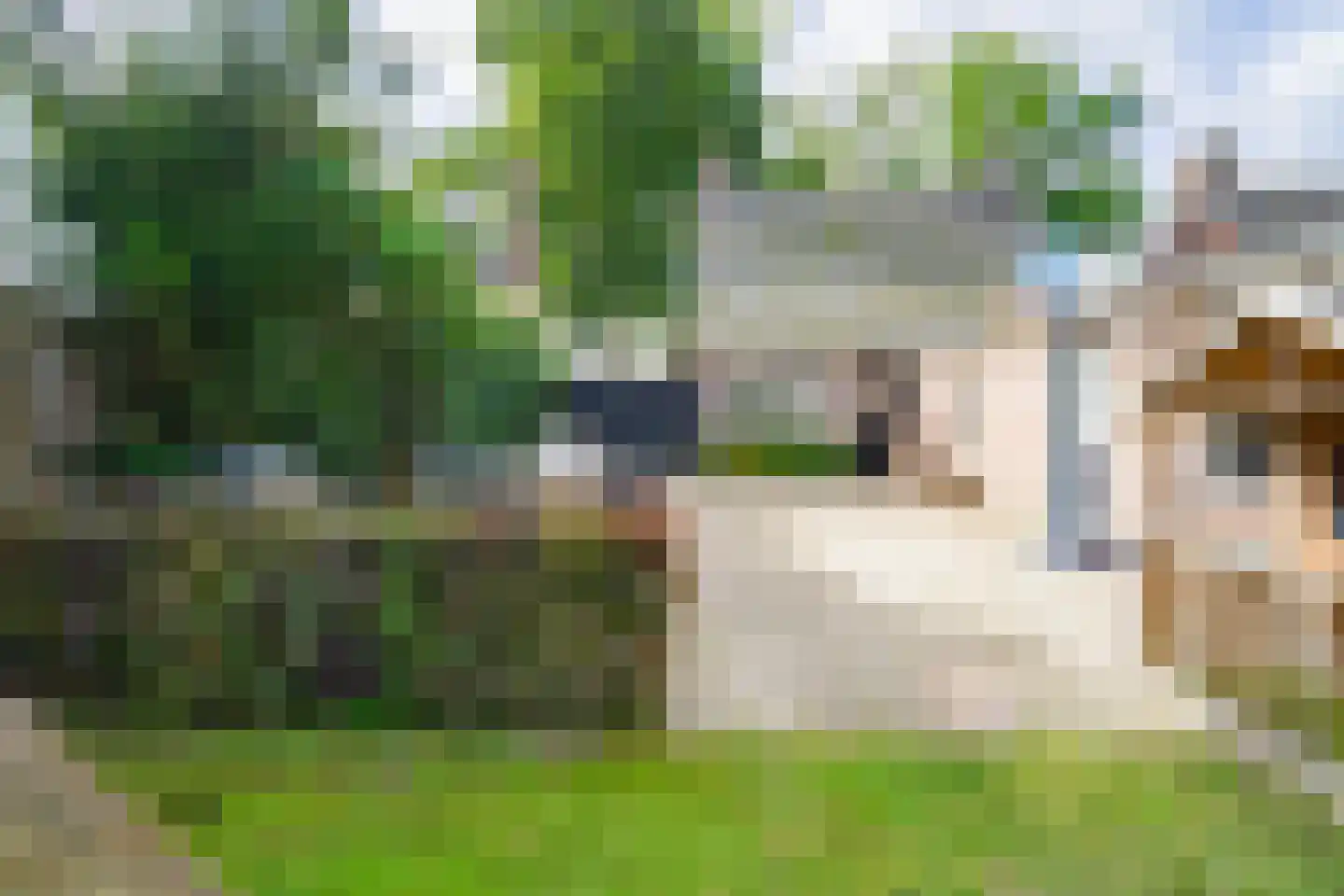 Dorpsstraat 75 Bakel thumbnail 44