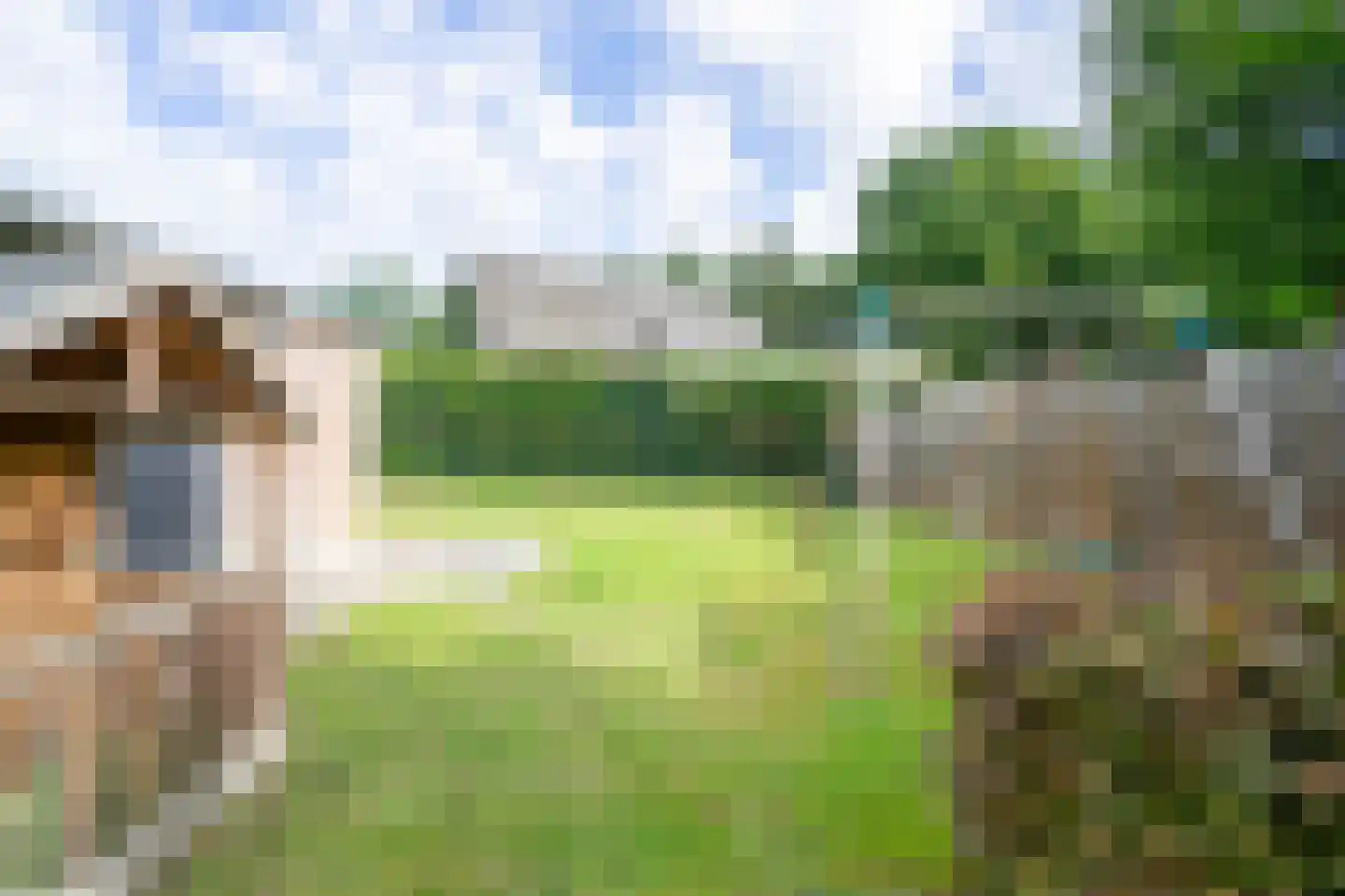 Dorpsstraat 75 Bakel thumbnail 47