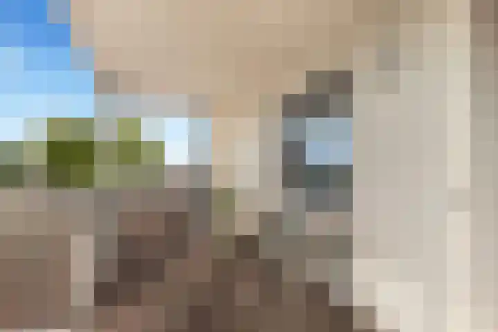Dorpsstraat 75 e Castricum thumbnail 7