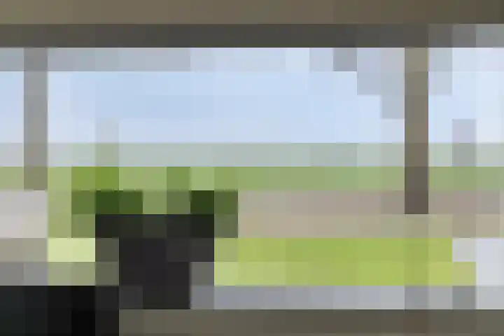Dorpsstraat 75 Haule thumbnail 12