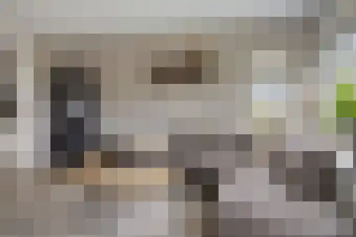 Dorpsstraat 75 Haule thumbnail 13