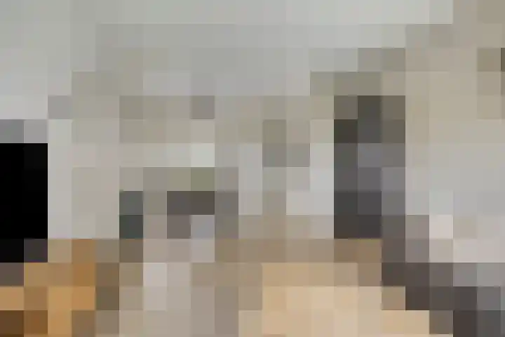Dorpsstraat 75 Haule thumbnail 14