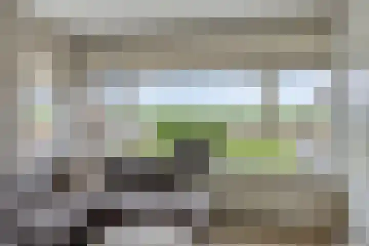 Dorpsstraat 75 Haule thumbnail 15