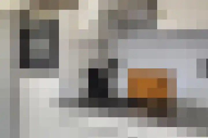 Dorpsstraat 75 Haule thumbnail 21