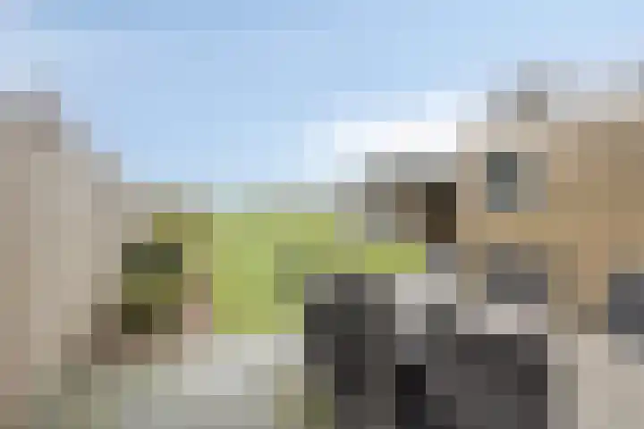 Dorpsstraat 75 Haule thumbnail 38