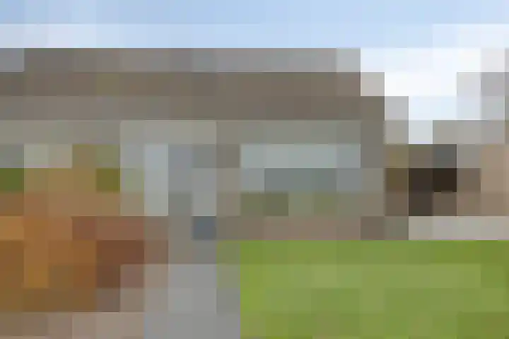 Dorpsstraat 75 Haule thumbnail 4