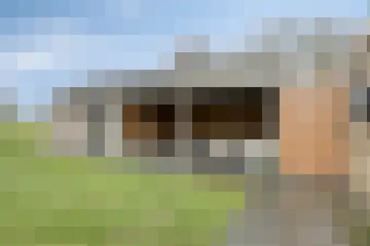 Dorpsstraat 75 Haule thumbnail 40