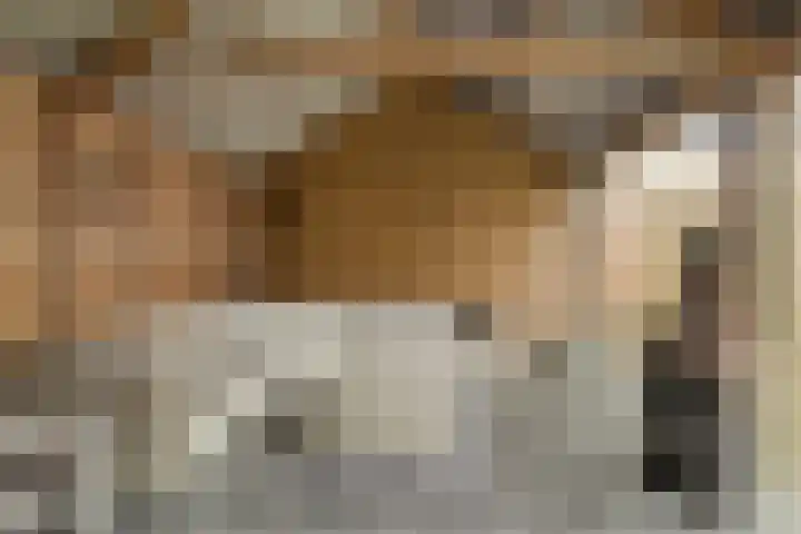 Dorpsstraat 75 Haule thumbnail 41