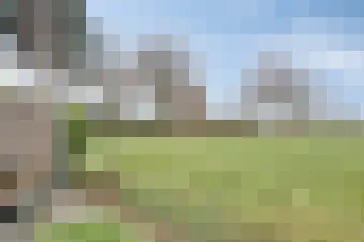 Dorpsstraat 75 Haule thumbnail 42